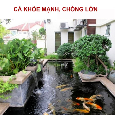 Combo 2 Xốp Lọc Bể Cá 90x30cm Cao Cấp | Vật Liệu Lọc Nước Hồ Cá Hiệu Quả