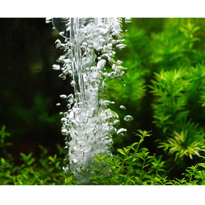 6 Mét dây sủi và 6 đá sủi oxy, quả sủi oxy dùng cho Máy sủi oxy, Máy sục khí - Tăng lượng khí oxy bể cá - Giúp cá lớn nhanh, phát triển mạnh ( Trắng - Đen)