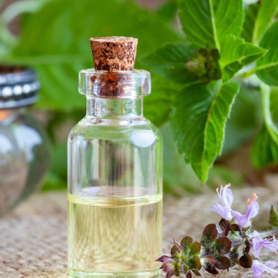 Tinh dầu Hương Nhu nguyên chất 100% từ thiên nhiên - KingOil