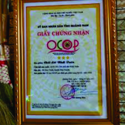 Chổi đót quét nhà, chổi chít cán trúc rẻ bền đẹp Cao Cấp Đã Làm Sạch Bụi Bông Cỏ