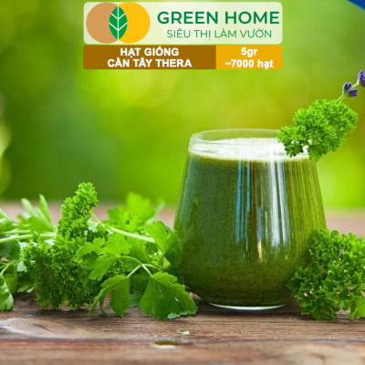 Hạt Giống Cần Tây Thera GreenHome, Gói 5g~700 hạt, Chịu Nhiệt Tốt, Năng Suất Cao, Nảy Mầm Đều G17