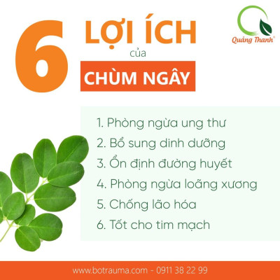 Bột Chùm Ngây Sấy Lạnh Nguyên Chất Hộp 30g  - Bột dinh dưỡng ăn dặm cho bé, tăng cường sức khỏe