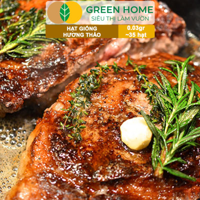 Hạt Giống Cây Hương Thảo GreenHome, Rosemary, Gói 0,03g~35 hạt, Dễ Trồng, Thu Hoạch Quanh Năm G06