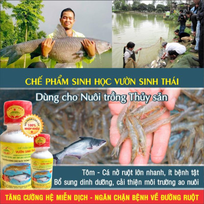 Chế phẩm sinh học VƯỜN SINH THÁI cho Tôm, Cá, Ếch. Nở ruột, chắc thịt, lớn nhanh. Vi sinh NANO siêu vượt trội. Hiệu quả ngay sau 5-7 ngày. HSD: 4 năm 