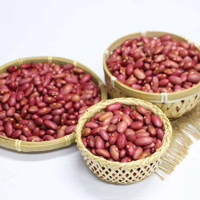 Đậu Đỏ / Đỗ Đỏ Bắc Hạt Lớn Lý Tưởng 400g